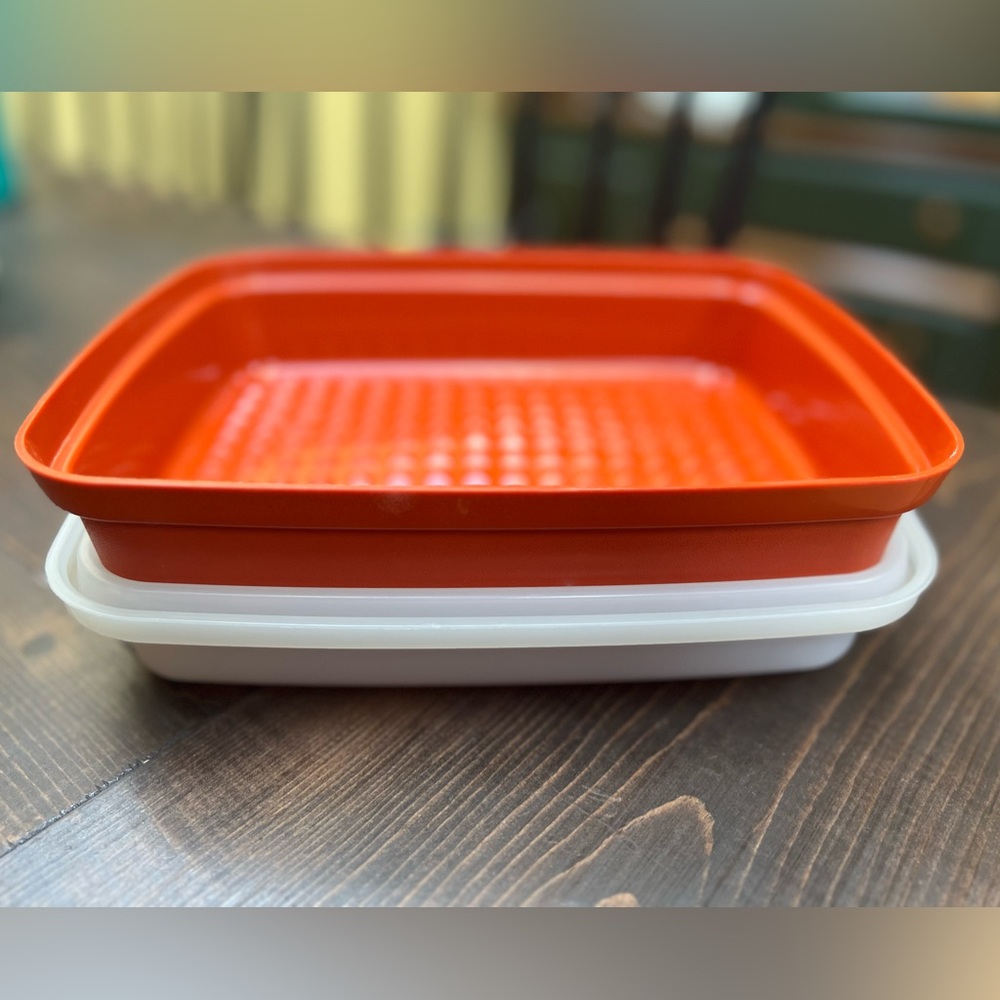 VINTAGE Tupperware Marinating Container